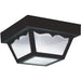 Outdoor Ceiling Clear Outdoor Flush Mount - Outdoor Flush Mounts