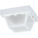 Outdoor Ceiling White Outdoor Flush Mount - Outdoor Flush Mounts