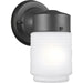 Outdoor Wall Black Outdoor Wall Lantern - Outdoor Wall Sconce