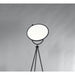 Paddle Black LED Floor Lamp - Floor Lamps