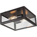 Parameters Bronze Flush Mount - Flushmounts