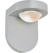 Pharos Silica 1 Light LED Outdoor Wall Sconce - Outdoor Wall Sconces