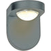 Pharos Silica 1 Light LED Outdoor Wall Sconce - Outdoor Wall Sconces