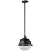 Portside Oil Rubbed Bronze / Antique Brass Outdoor Pendant - Outdoor Pendant
