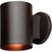 Poseidon Bronze Outdoor Wall Sconce - Outdoor Wall Sconce