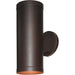 Poseidon Bronze Outdoor Wall Sconce - Outdoor Wall Sconce