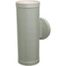 Poseidon Satin Outdoor Wall Sconce - Outdoor Wall Sconce