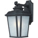 Radcliffe Black Oxide Outdoor Wall Mount - Outdoor Wall Mount