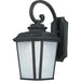 Radcliffe LED E26 Black Oxide LED Outdoor Wall Mount - Outdoor Wall Mount
