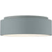 Radiant Gray LED Flush Mount - Flushmounts