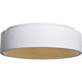 Radiant White LED Flush Mount - Flushmounts