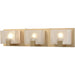 Ridgecrest Satin Black Vanity Light - Bath & Vanity
