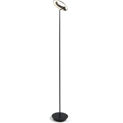 Royyo Floor Lamp Matte Black Body Matte Black base plate - Floor Lamp