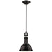 Rutherford Oil Rubbed Bronze Mini Pendant - Mini-Pendants
