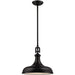 Rutherford Oil Rubbed Bronze Pendant - Pendants