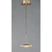 Saucer Black / Gold LED Mini Pendant - Mini-Pendants