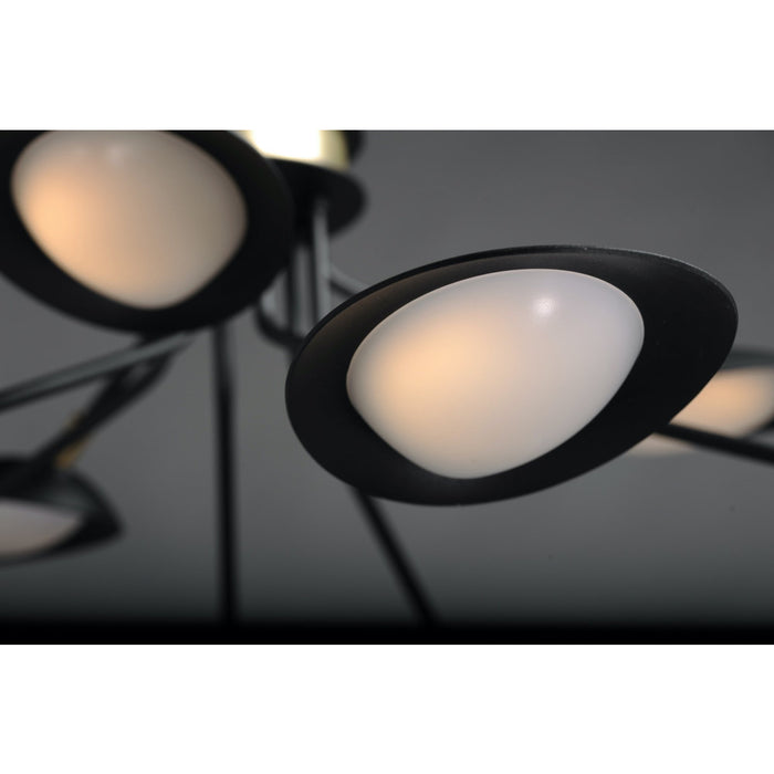 Scan Black / Satin Brass LED Chandelier - Chandeliers
