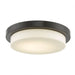 Step Bronze 2 Light LED Flushmount - Flushmounts