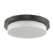 Step Bronze 2 Light LED Flushmount - Flushmounts