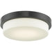Step Chrome 2 Light LED Flushmount - Flushmounts