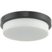 Step Chrome 2 Light LED Flushmount - Flushmounts