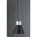 Storehouse Satin Aluminum / Black LED Single Pendant - Pendants