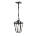 Talbot Black 1 Light Outdoor Chain Mount Ceiling Fixture | theLightShop