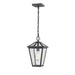 Talbot Rubbed Bronze 1 Light Outdoor Chain Mount Ceiling Fixture | theLightShop