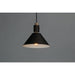 Tucson Oil Rubbed Bronze / Weathered Wood Single Pendant - Pendants