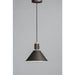 Tucson Oil Rubbed Bronze / Weathered Wood Single Pendant - Pendants
