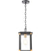 Vincentown Matte Black Brushed Brass Outdoor Outdoor Hanging - Outdoor Hanging