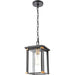Vincentown Matte Black Brushed Brass Outdoor Outdoor Hanging - Outdoor Hanging