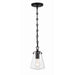 Voss Matte Black 1 Light Mini Pendant Crystorama VSS-7002-MK