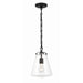 Voss Matte Black 1 Light Mini Pendant Crystorama VSS-7003-MK