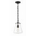 Voss Matte Black 1 Light Mini Pendant Crystorama VSS-7003-MK