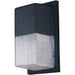 Wall Pak Black LED Wall Sconce - Wall Sconce