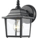Waterdown Black Outdoor Wall Sconce | theLightShop