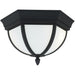 Wynfield Black LED Outdoor Flush Mount - Outdoor Flush Mounts