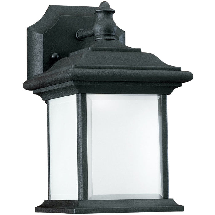 Wynfield Black LED Outdoor Wall Lantern - Outdoor Wall Sconce