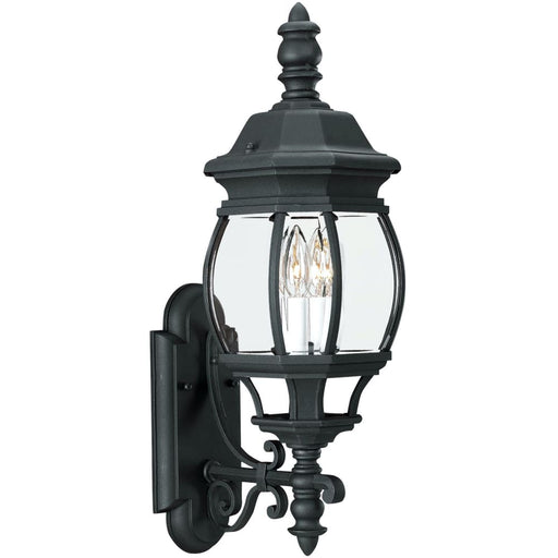 Wynfield Black LED Outdoor Wall Lantern - Outdoor Wall Sconce