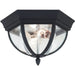 Wynfield Black Outdoor Flush Mount - Outdoor Flush Mounts