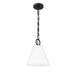 Z-Lite Alaric Pendant Matte Black 1 Light 10 Inch 3042P10-MB | theLightShop