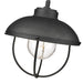 Z-Lite Ansel Black 1 Light Outdoor Pendant 590P-BK | theLightShop
