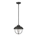 Z-Lite Ansel Black 1 Light Outdoor Pendant 590P-BK | theLightShop