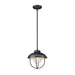 Z-Lite Ansel Black 1 Light Outdoor Pendant 590P-BK | theLightShop