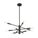 Z-Lite Ascension Matte Black Chandelier 737-10MB | theLightShop