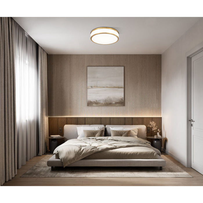 Z-Lite Ballord Flushmount Modern Gold LED 1 Light 16 Inch 1012F16-MGLD-LED | theLightShop