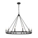 Z-Lite Barclay Matte Black Chandelier 482R-12MB | theLightShop