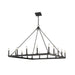 Z-Lite Barclay Matte Black Chandelier 482S-16MB | theLightShop