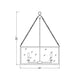 Z-Lite Barrington Matte Black 6 Light Pendant 346P26-MB | theLightShop